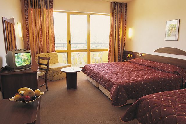 Hotel Continental Park - double room 3+*