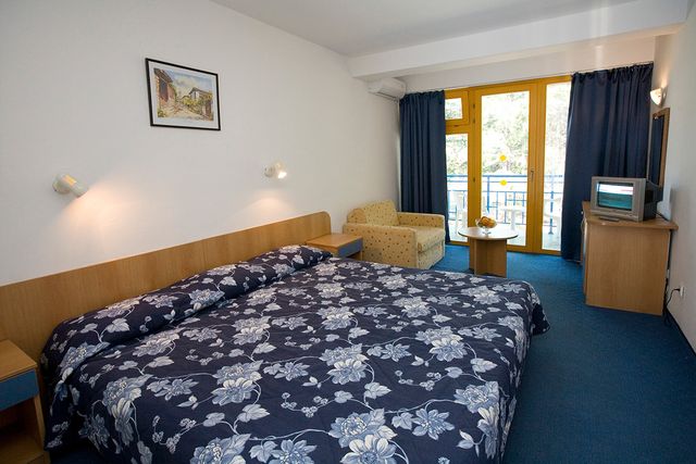 Hotel Continental Park - double/twin room