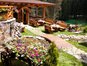 Hotel Kamelia