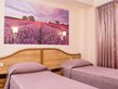 Hotel Dafi - double/twin room